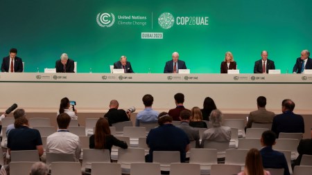 COP28 summit