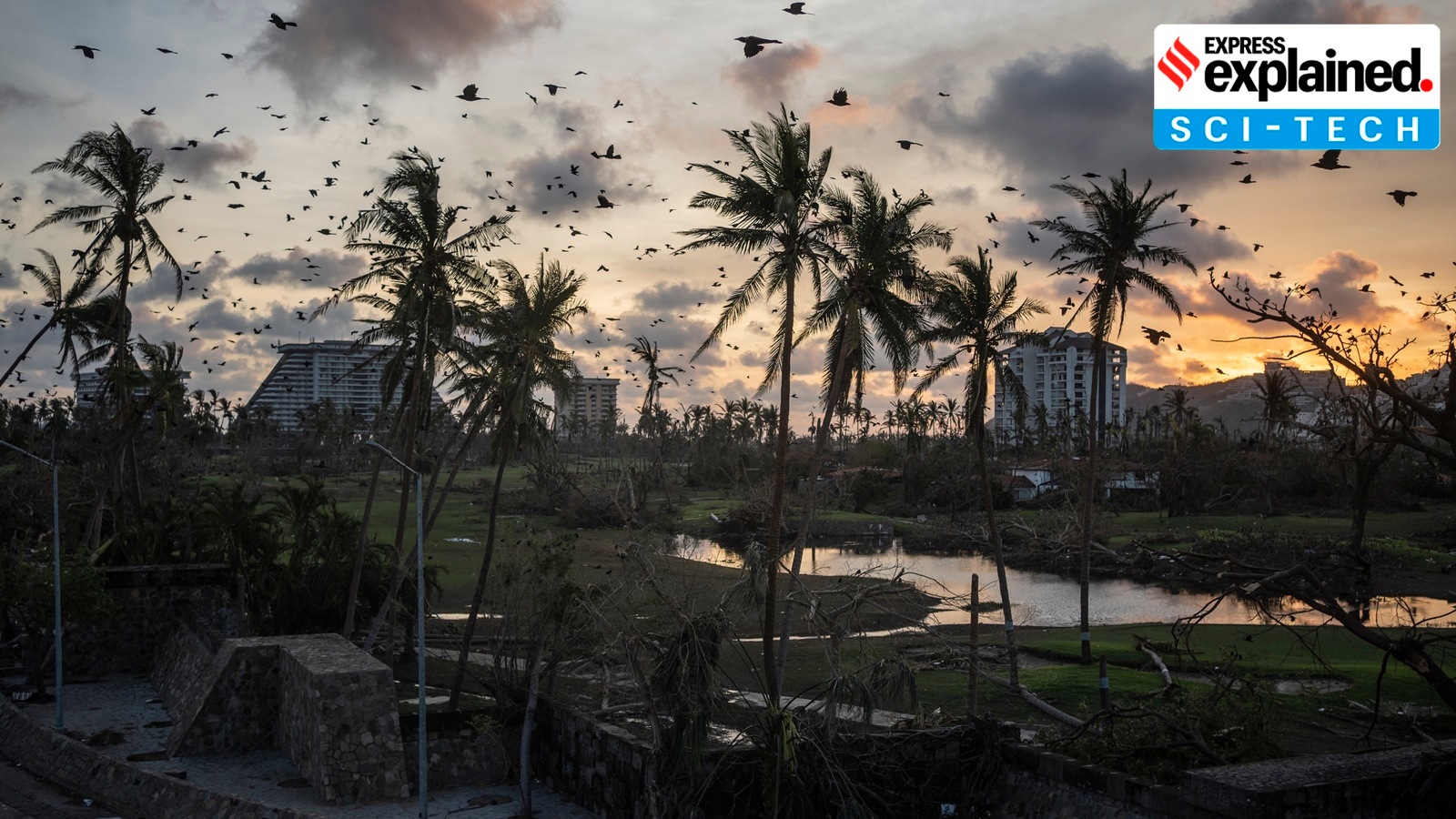 AI and climate change