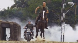 Welcome to the Jungle