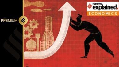indian economy