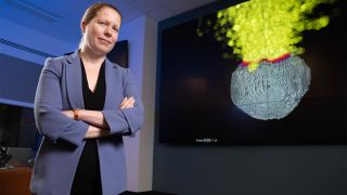 Lawrence Livermore National Laboratory Physicist Mary Burkey developed a novel approach to simulating the energy deposition from a nuclear device on an asteroid’s surface.