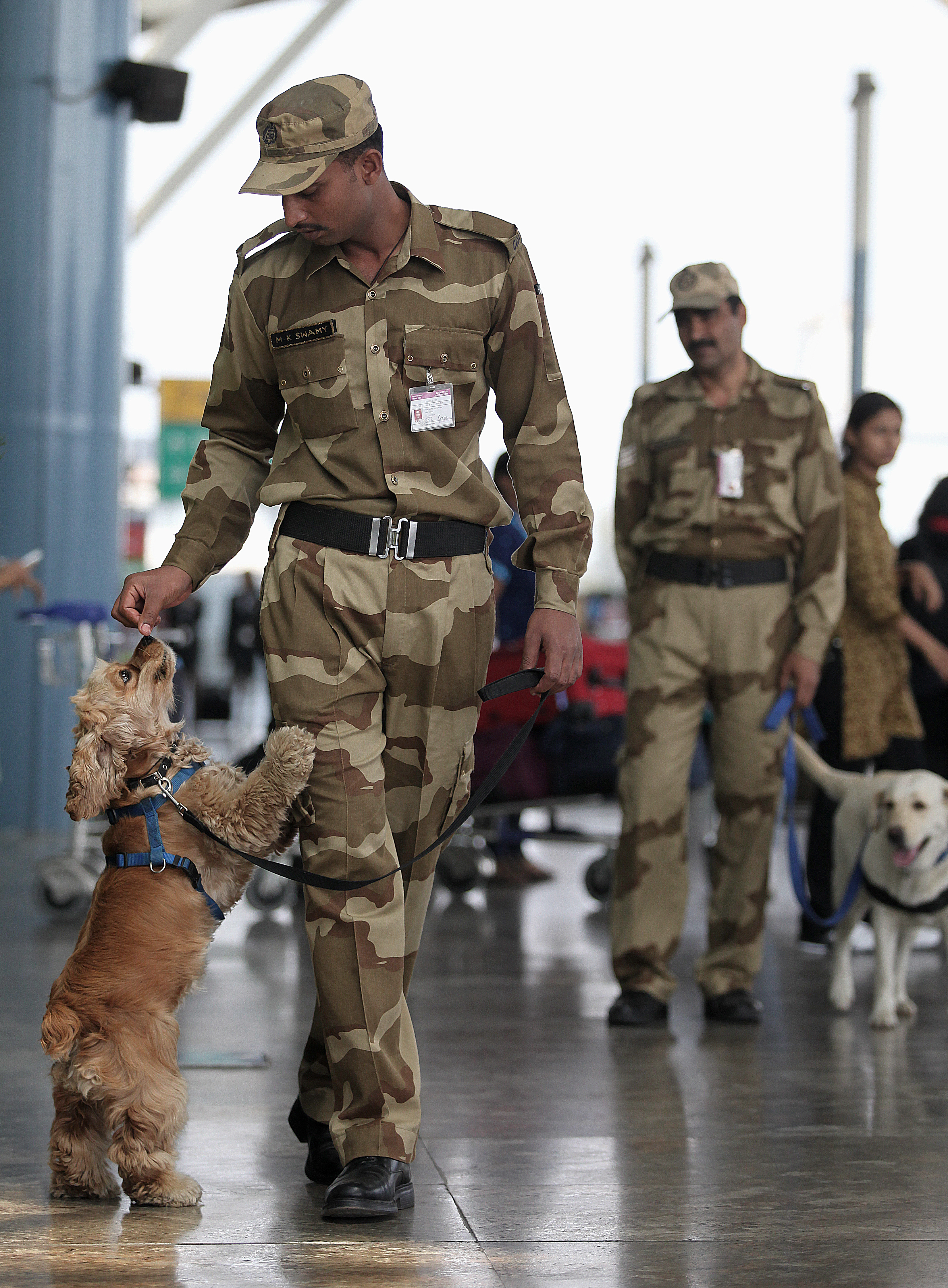 CISF Raising Day 2024 | 10 मार्च को है केंद्रीय औद्योगिक सुरक्षा बल स्थापना  दिवस ! जानें कितनी अहम है सुरक्षा में इसकी भूमिका | Navabharat (नवभारत)