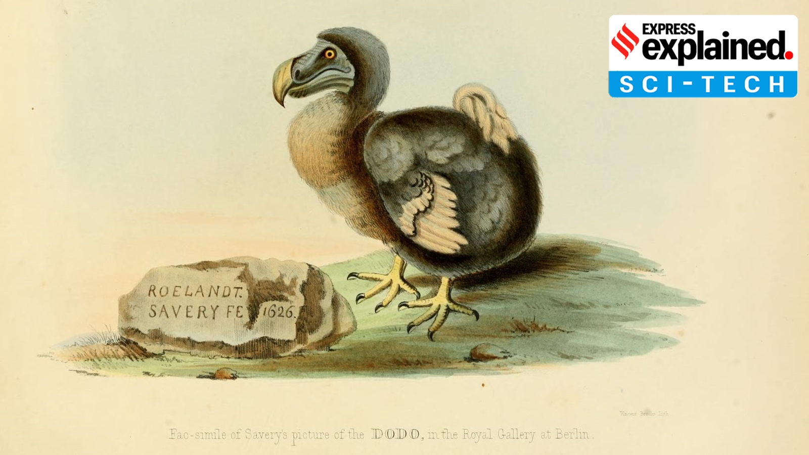 De-extincting the dodo: Why scientists are planning to bring back