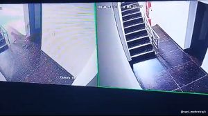 Leopard breaks into girls hostel.