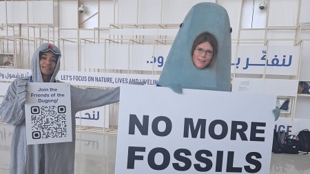 COP28 Fossil Fuels