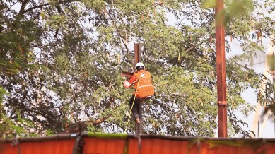getco, Gujarat Energy Transmission Corporation Limited, Vadodara, Pole-climbing tests, Ahmedabad news, Gujarat news, India news, Indian express, Indian express India news, Indian express India