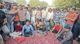Gujarat APMC onion growers