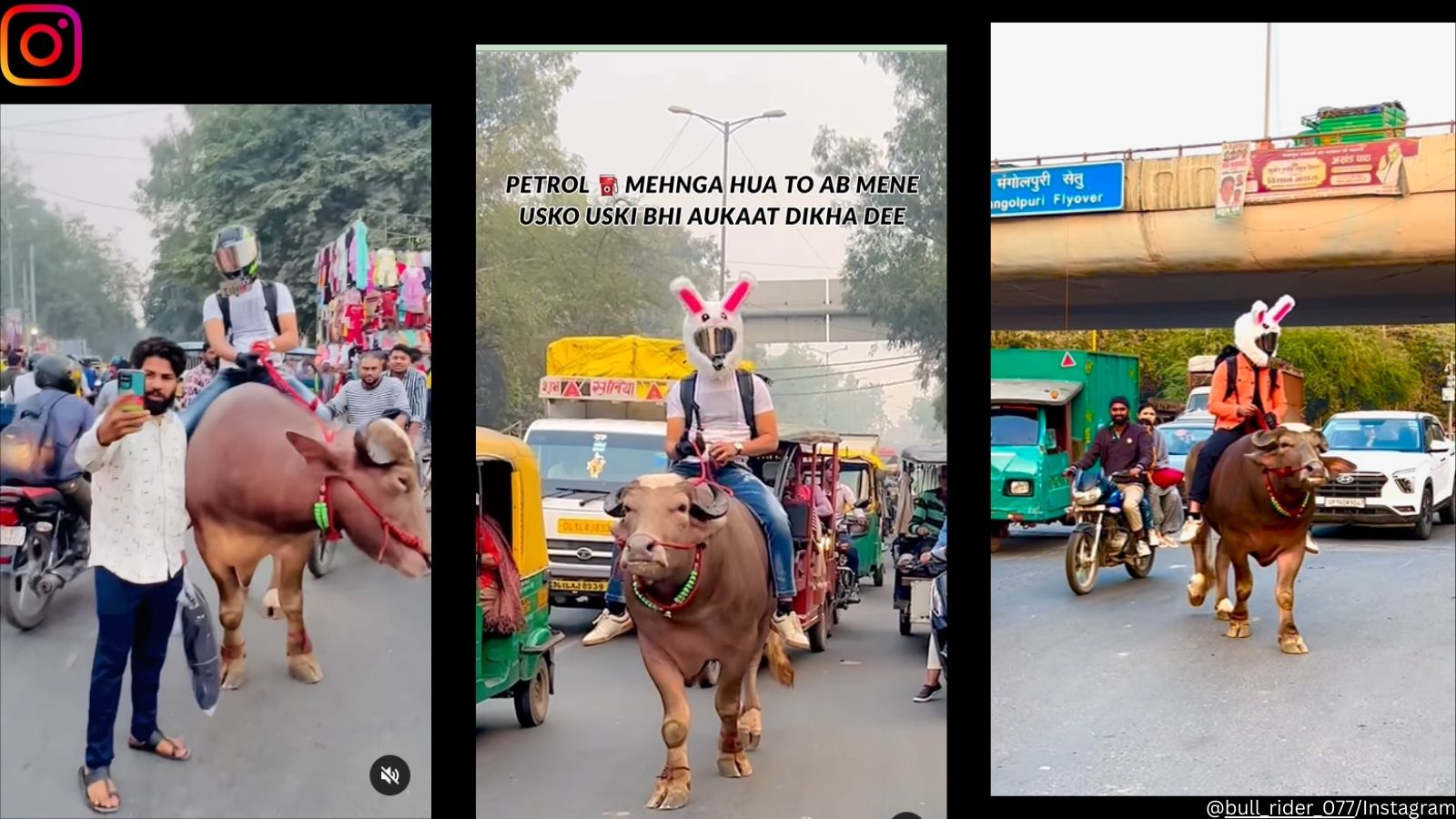 ‘Petrol Mehnga Hua To’: Man Rides A Bull On Delhi Roads, Video Angers ...