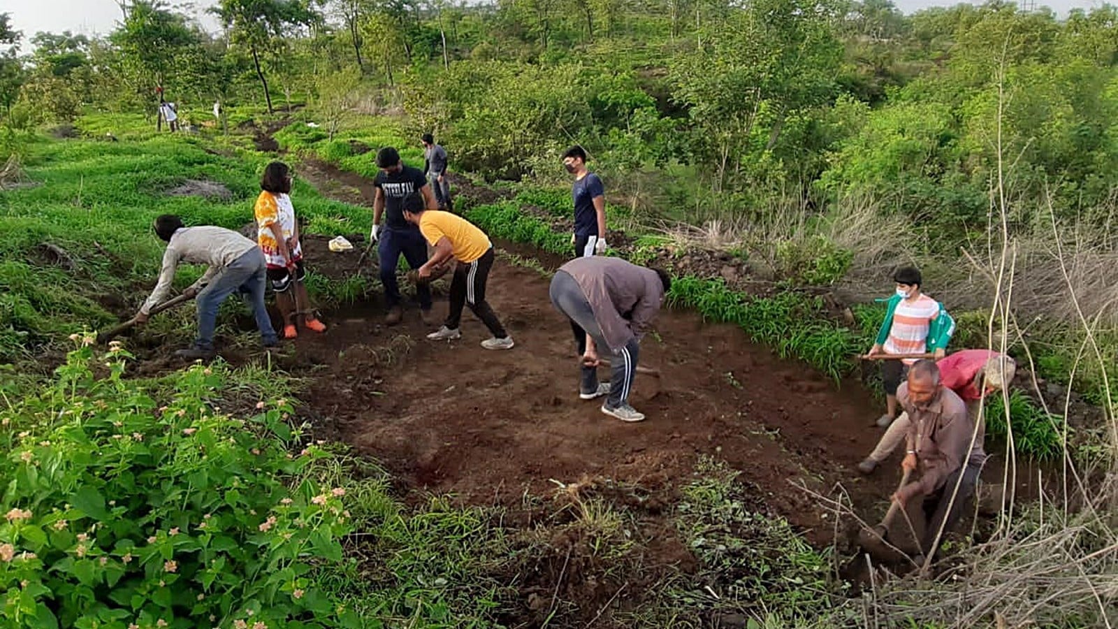 Urban forestation technique: BMC to plant 10,000 saplings to develop Miyawaki forest in Malad