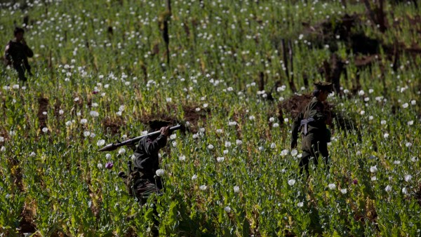 myanmar opium