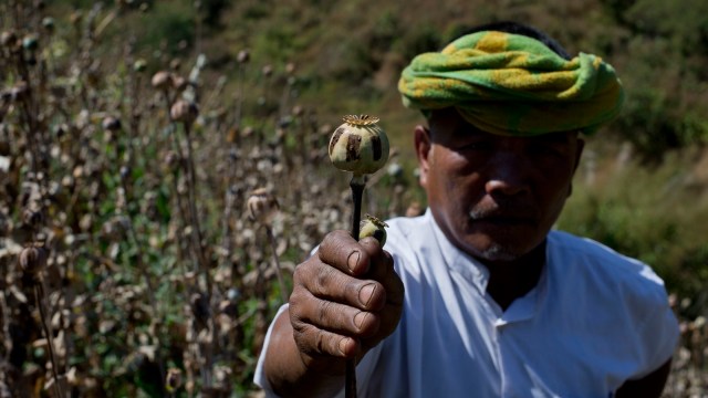 myanmar opium production