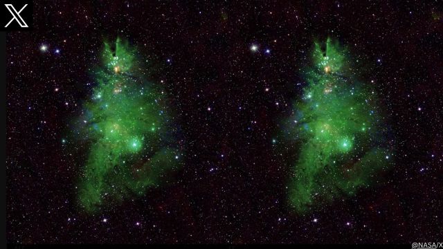 NASA shares image of ‘Christmas Tree Cluster’ clicked by its Chandra X-ray Observatory