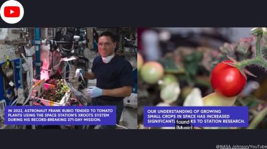 NASA solves mystery of missing tomatoes aboard International Space Station