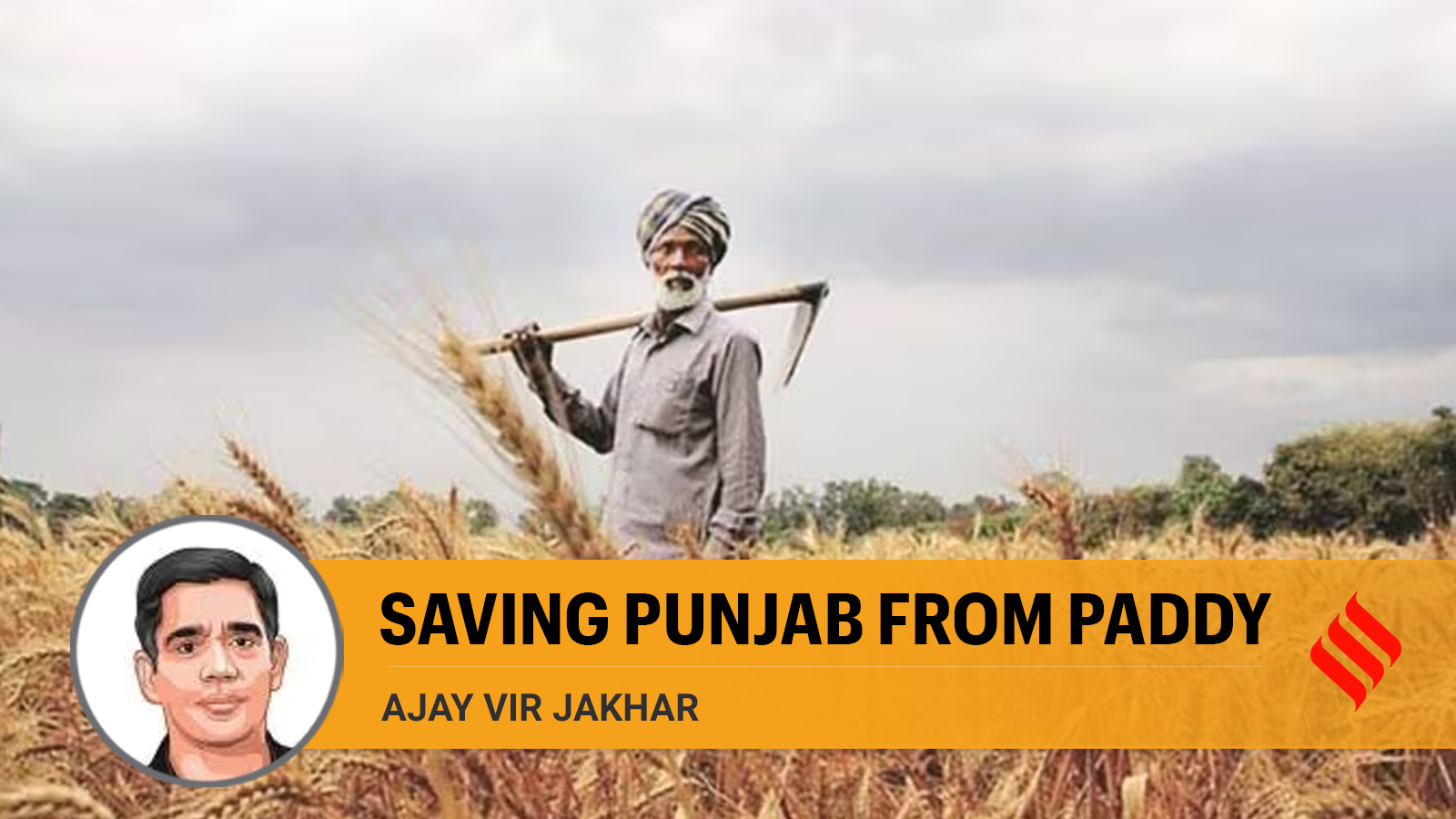 Saving Punjab from rice The Indian Express