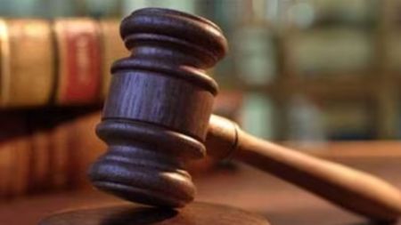 PIL on Deekshabhoomi development