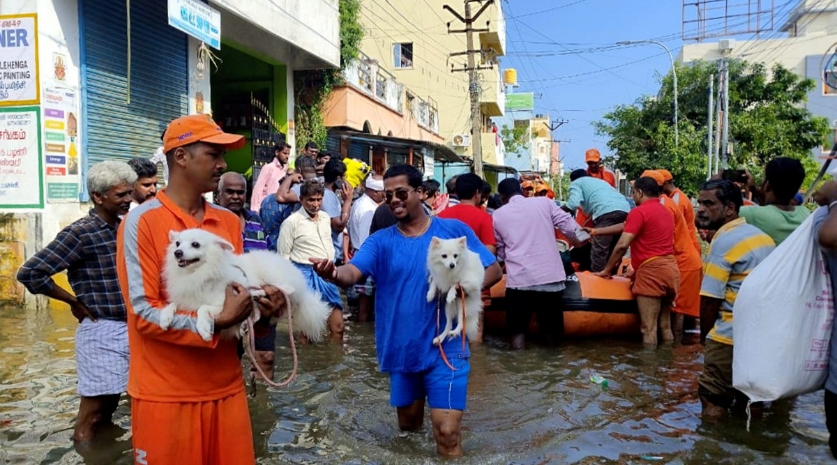 Cyclone Michaung Weakens; Schools, Colleges In Chennai To Remain Shut ...