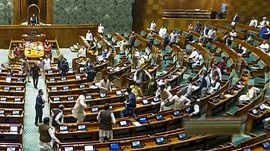 parliament security breach