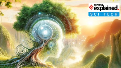 Technology 2024: The Indian Express asked ChatGPT 4 to visualise this report after reading through it. This is what it came up with using DALL-E. The image has not been edited. It shows an illustration of technology and nature.
