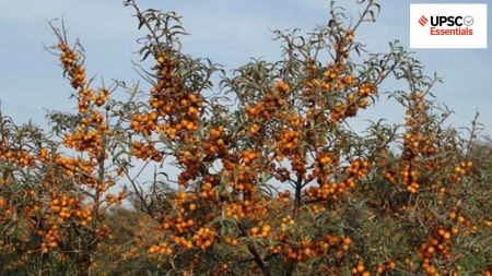 UPSC Daily subject-wise quiz — Environment, Geography, Science and Technology (Week 36)