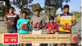 strawberry farmers odisha
