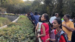 katraj zoo, pune