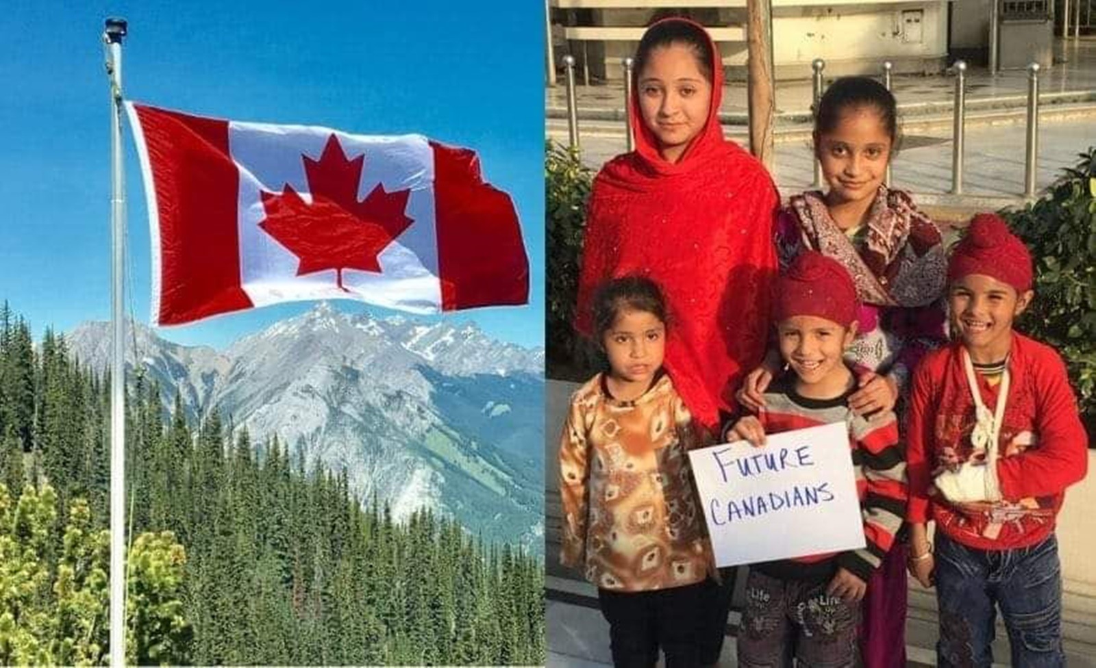 afghan sikhs and hindus