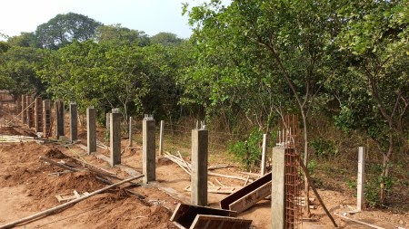 Environmentalists raise alarm over govt’s virology lab plan