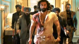 ranbir kapoor animal box office