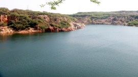 Delhi HC restrains govt from holding Walk with Wildlife event inside Asola Bhatti Wildlife Sanctuary