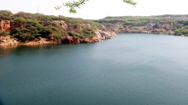 Delhi HC expresses concern about ‘risk’ of holding event inside Asola Bhatti Wildlife Sanctuary