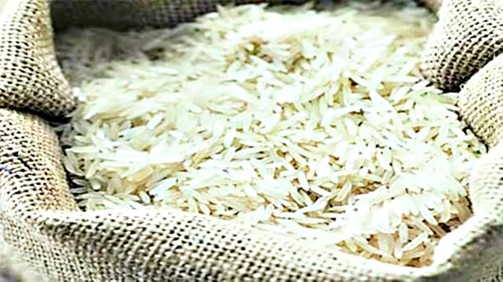 basmati rice