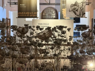 Italo Calvino, Indian art, architecture and design, seminal novel Invisible Cities, IAADB, Red Fort in Delhi, Ministry of Culture, panel discussions with art bazaar, indian express news
