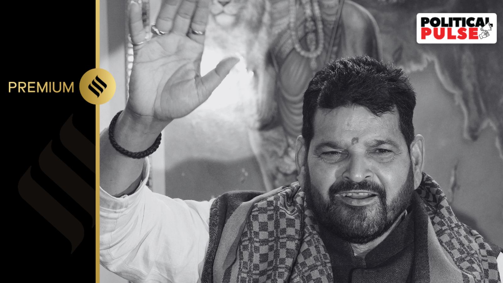 brij bhushan sharan singh