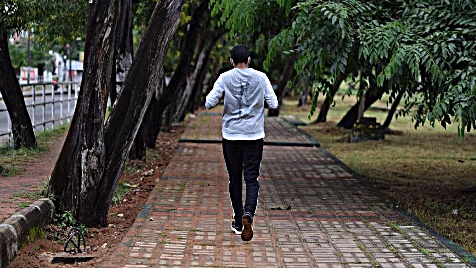 walk, health, indian express