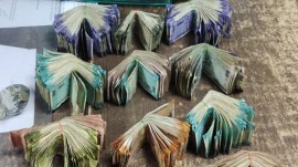 Beggar dies, starving for days, Valsad Civil Hospital, hunger, Bhavesh Patel, emergency medical technician, indian express news