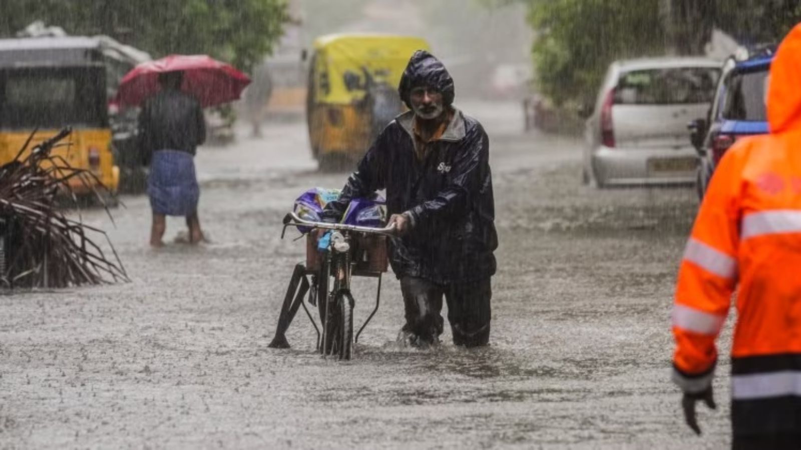 Chennai Floods 2024 Date Chennai Fawnia Shelly