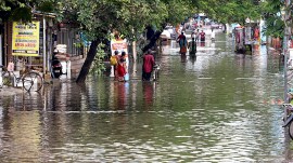 Andhra Pradesh rains