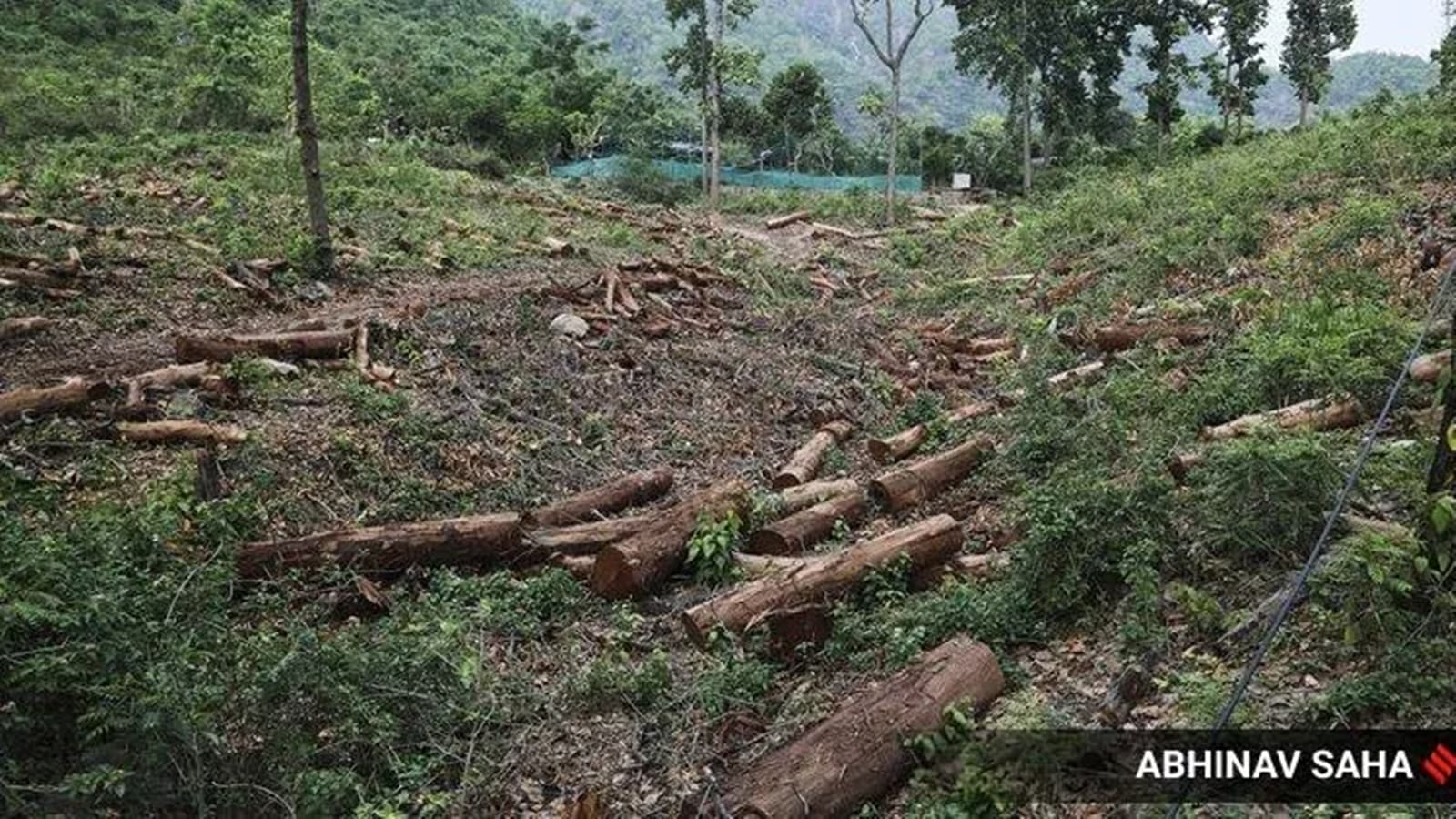 Criticism not new for Vishwambhar, known for his outspokenness