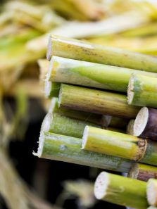 Health benefits of sugarcane