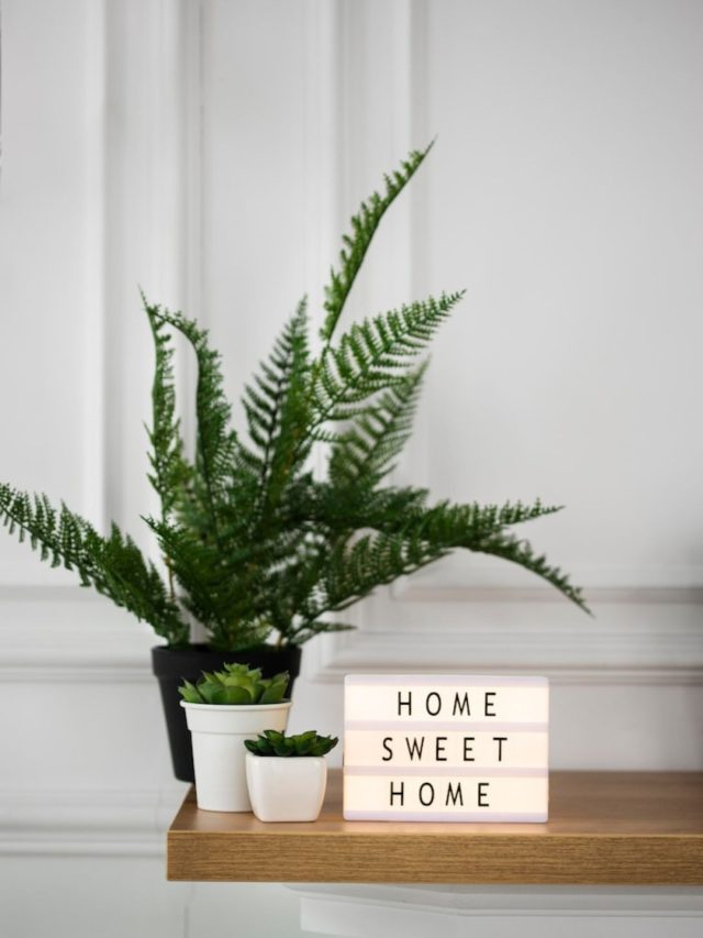 Simple Changes To Transform Your Home Into A Haven Of Health The   Cropped 1 28 