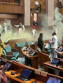 Parliament security breach