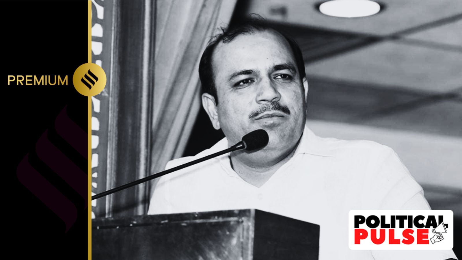 Amroha MP Kunwar Danish Ali