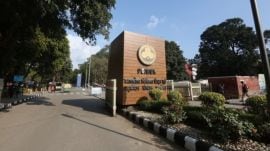 Express Photo by Jasbir Malhi