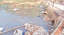 chandigarh, garbage dumping ground, indian express