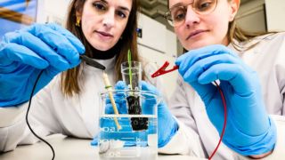 Alexandra Sandéhn, PhD student, one of the lead authors, and Eleni Stavrinidou, Associate Professor, and supervisor of the study, connect the eSoil to a low power source for stimulating plant growth.