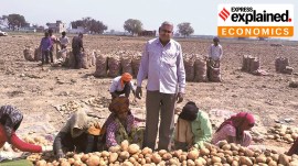 Potato farmers, Terms of trade, Indian agriculture, agriculture sector, minimum support price, prices of farm commodities, national income statistics data, Gross Value Added, Indian economy, NITI Aayog, non-agriculture GVA, UPA, NDA, Indian express, explained