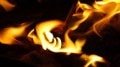 One person injured in Wadala fire, no casualties