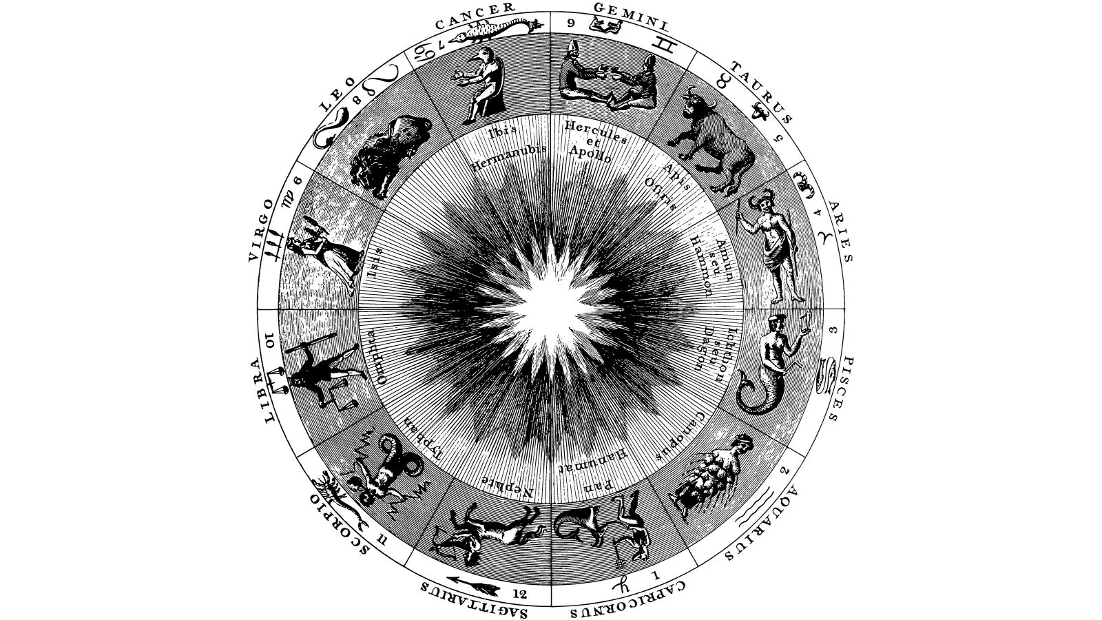 Zodiac Signs Horoscope - Born on August 5th Horoscope: Lucky
