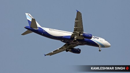 indigo biggest airline 100 million passengers