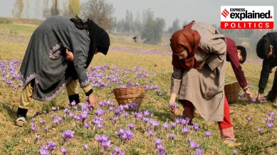 Kashmiri women